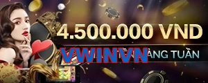 VWINVN