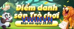 VWINVN